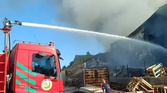 Adana'da Narenciye Paketleme Tesisinde Yangın Çıktı