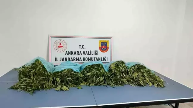 Ankara Çamlıdere'de 25 Kilogram Kubar Esrar Ele Geçirildi