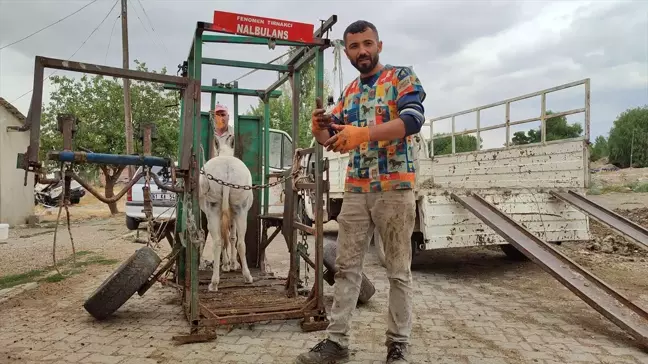 Elbistan'da Nalbant Kenan Kaya, Sahipsiz Hayvanlara Ücretsiz Tırnak Bakımı Yapıyor