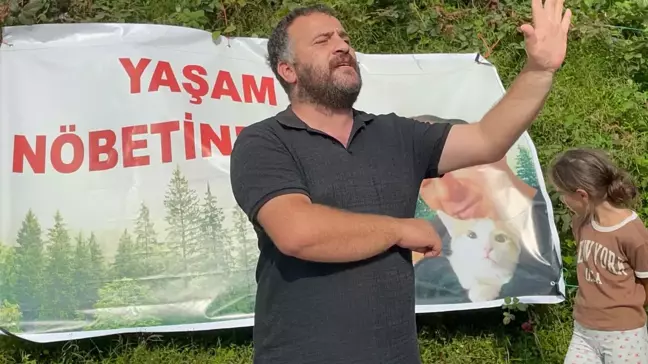 Artvin'de Ağaç Kesimi Protestolarında Gözaltılar ve Serbest Bırakılmalar