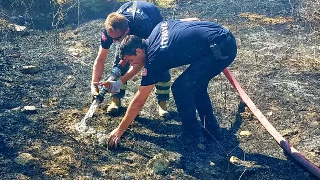 Edirne'de Alevlerin Arasında Kalan Kaplumbağa Kurtarıldı