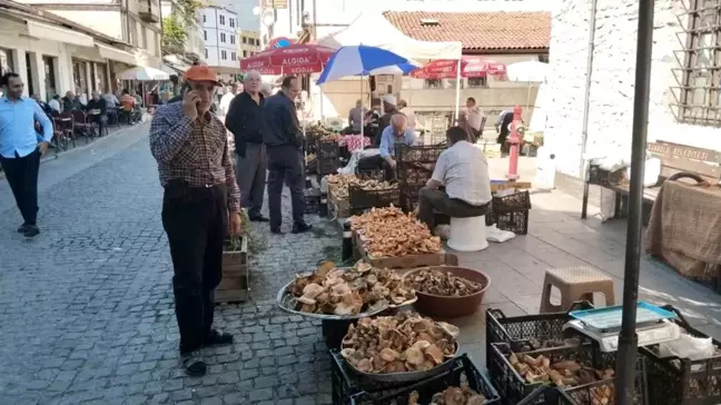 Kanlıca Mantarı Fiyatında Düşüş: Kilo Başına 150 TL