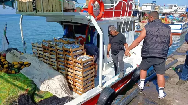 Akçakoca'da Palamut Azalıyor: Balıkçılar Endişeli