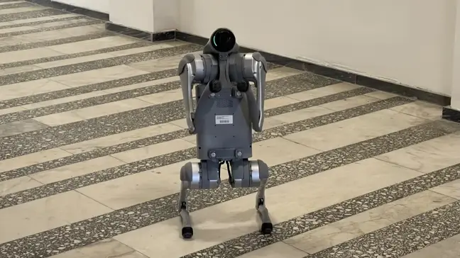 KTÜ'den Deprem Sonrası Hasar Tespiti İçin Robotik Köpek Geliştiriliyor