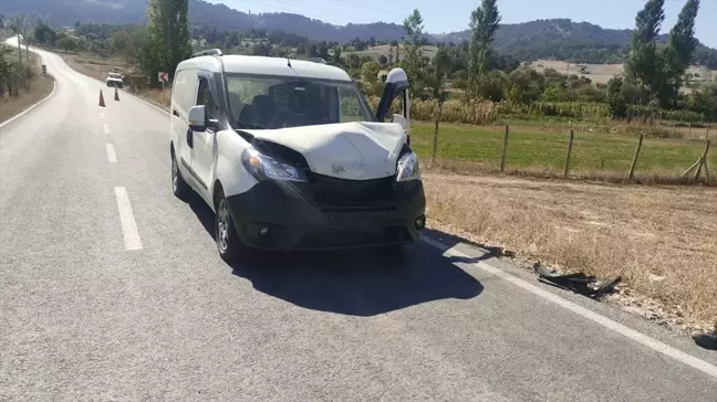 Kütahya'da Kamyonet Koyuna Çarptı, Sürücü Yaralandı