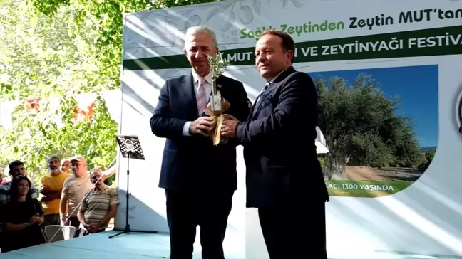 Mersin'de İlk Zeytin ve Zeytinyağı Festivali Başladı