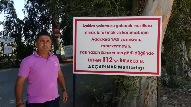 Ula'daki Ağaçlara Yazı Yazılmasına Karşı Uyarı Tabelası