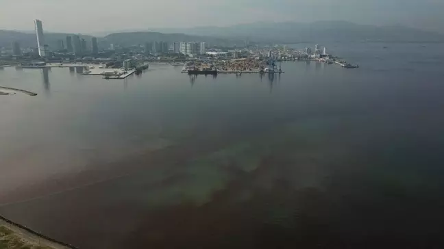 İzmir Körfezi'ndeki Kirlilik Sorunu Uzmanlardan Çözüm Önerileri