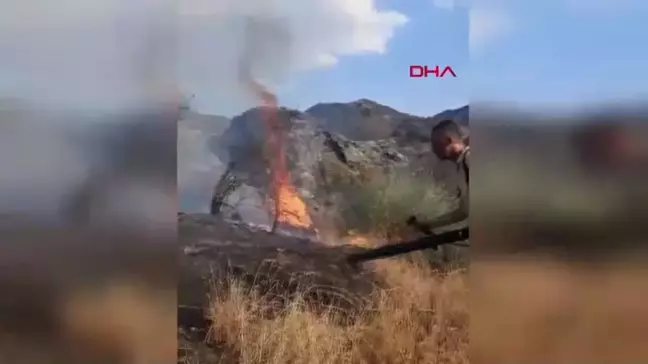 Siirt'te Çıkan Örtü Yangını Kontrol Altına Alındı