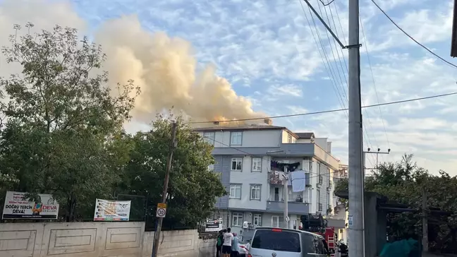 Kocaeli'de Mangaldan Çıkan Kıvılcımlar Yangına Sebep Oldu