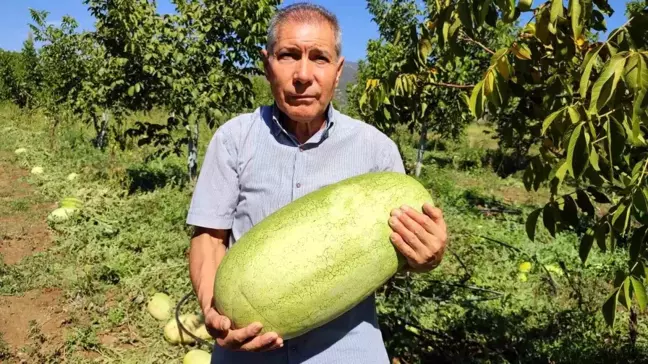 Beyağaç'ta Karpuzdan Pekmez Üretimi Başladı