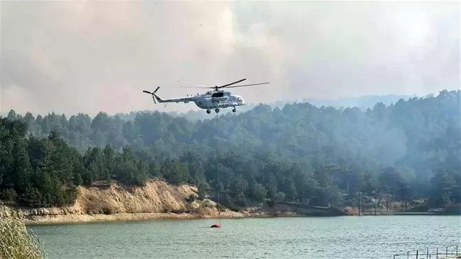 Uşak'ta Orman Yangınına Hava ve Karada Müdahale