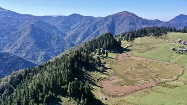 Giresun'un Huzur Dolu Noktası: Gölyanı Yaylası