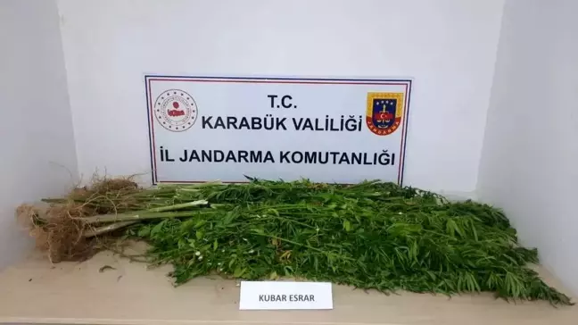 Karabük'te Jandarma Operasyonunda 11 Kilo Kubar Esrar Ele Geçirildi