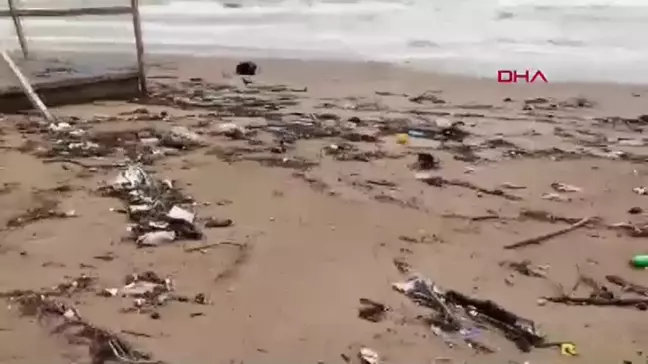 Bartın Irmağı'ndan İnkumu Plajı'na Çöp Taşınıyor