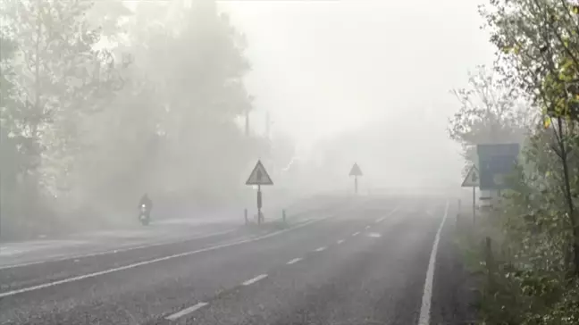 Bolu, Düzce ve Bartın'da Yoğun Sis Ulaşımı Olumsuz Etkiledi