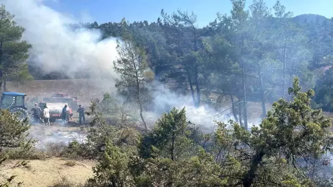 Bolu'da Orman Yangını Kontrol Altına Alındı