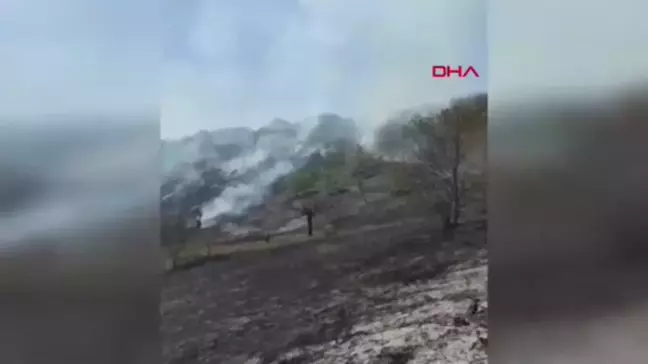 Bartın'da Anız Yangını Ormana Sıçramadan Söndürüldü