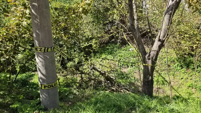 Zonguldak'ta Domuz Sanarak Vurulan Kadın Hayatını Kaybetti