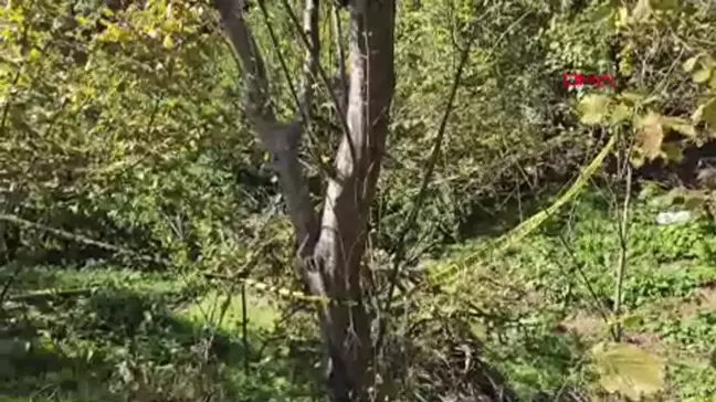 Zonguldak'ta Çöpleri Toplarken Vurulan Kadın Hayatını Kaybetti