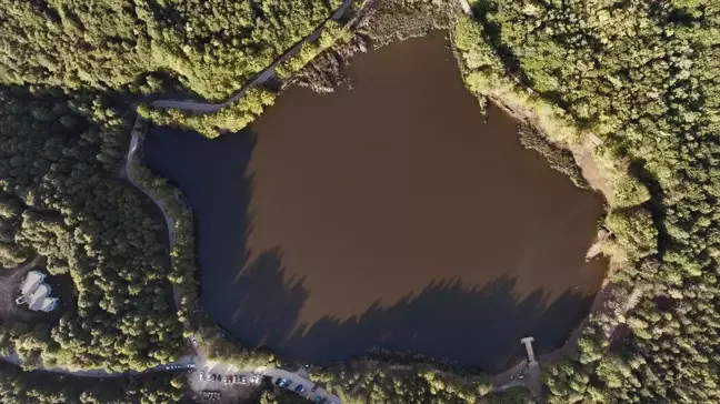 Düzce Korugöl Tabiat Parkı'nın Sonbahar Güzelliği