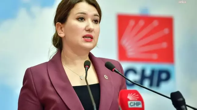 CHP'li Gökçen'den Ak Partili Çelik'e Tepki: 