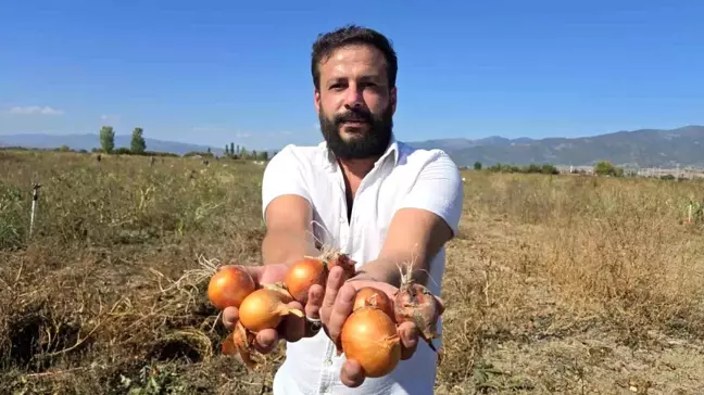 Cihan Aydın, Üretim Fazlası Soğanları Halka Ücretsiz Dağıttı