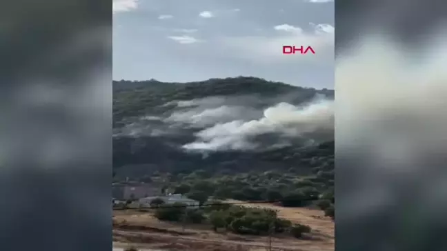 Elazığ'da Ormanlık Alanda Yangın Kontrol Altına Alındı