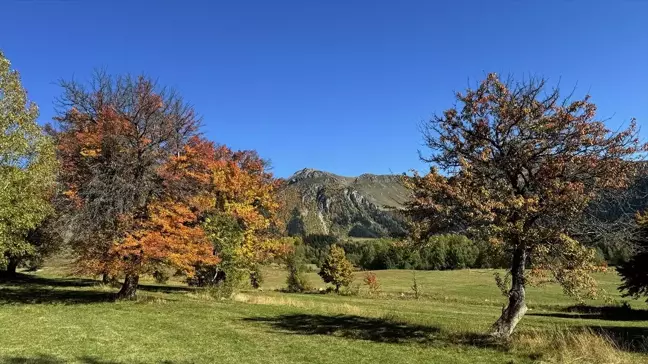 Şavşat'ta Sonbahar Güzellikleri Büyülüyor