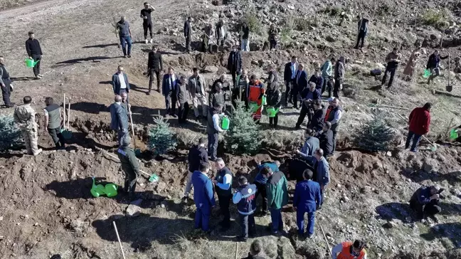 Erzurum'da Palandöken Dağı'nda Fidan Dikimi Etkinliği Düzenlendi