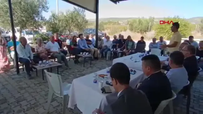 Foça'da Zeytin Hasat ve Sıkım Sezonu Başladı