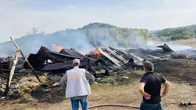 Çanakkale'de Samanlıkta Yangın: Bin Balya Saman Zarar Gördü