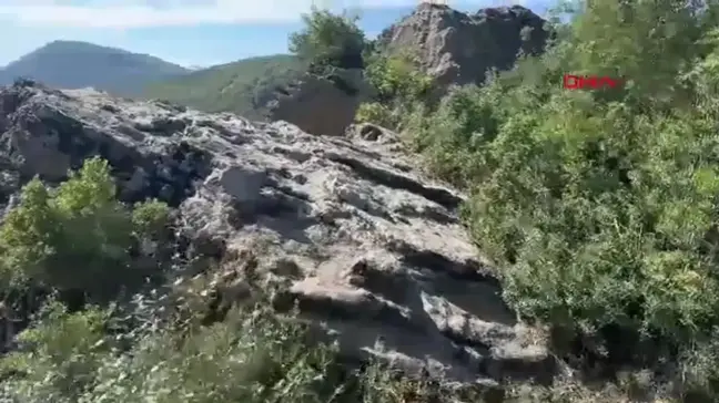 Yalova'da Eşini İtirerek Öldürmekle Suçlanan Erdal Sözer Tutuklandı