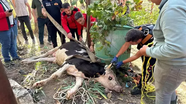 Burdur'da 20 Metre Derin Kuyuya Düşen İnek 2 Saatte Kurtarıldı