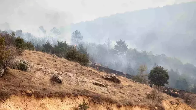 Afyonkarahisar'da Orman Yangını Çıktı