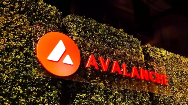 Avalanche Vakfı AVAX tokenları için son kararını verdi