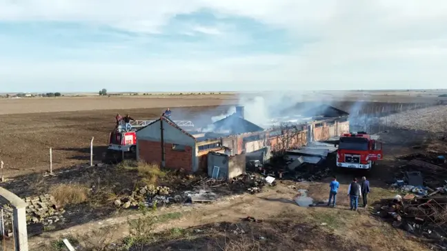 Edirne'de Çiftlikte Yangın: 80 Tavuk Hayatını Kaybetti