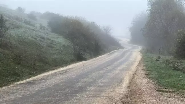 Düzce ve Karabük'te Yoğun Sis Etkili Oldu