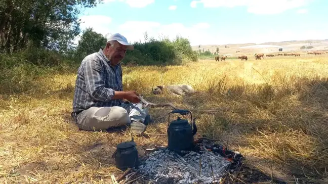 Yozgat'ta Çobanların Vazgeçilmezi: Kara Demlik Çayı