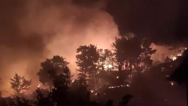 Muğla'nın Dalaman ilçesinde orman yangını