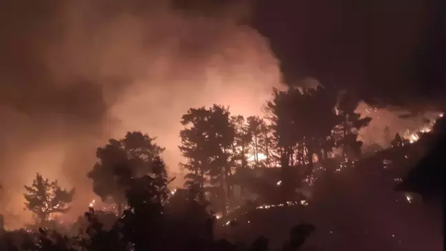 Muğla'nın Ortaca ve Dalaman İlçelerinde Orman Yangınları Çıktı