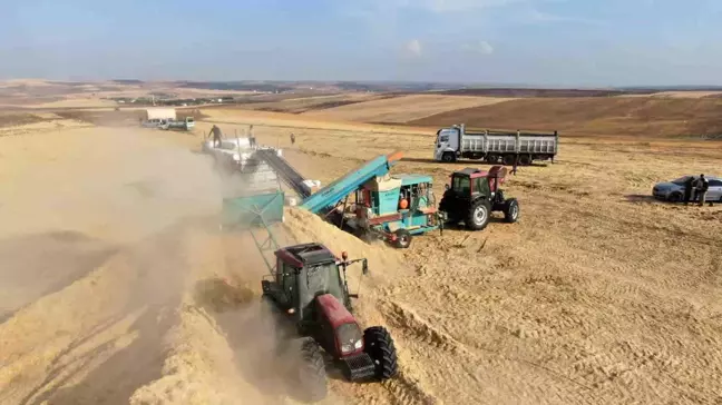 Diyarbakır'da Buğday ve Arpa Hasadı Sonrası Saman Presleme İşlemleri Devam Ediyor