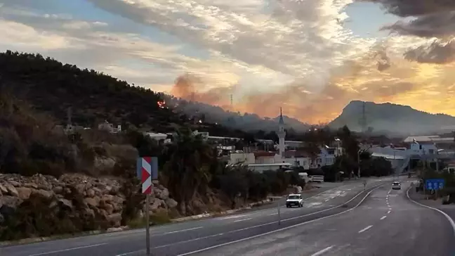 Mersin'de Orman Yangını Kontrol Altına Alındı