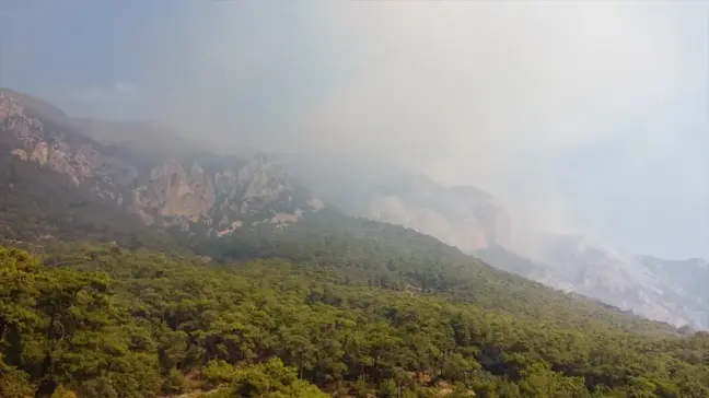 Muğla'da Orman Yangınlarıyla Mücadele Sürüyor