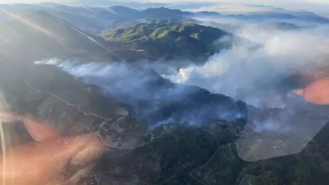 Muğla'da 3 Orman Yangını: Ekipler Mücadele Ediyor