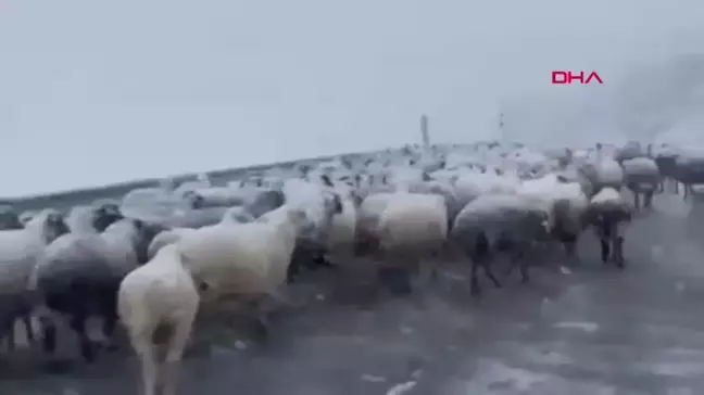 Ardahan'a Mevsimin İlk Kar Yağışı Düştü