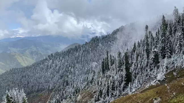 Artvin'de Kar Yağışı Yine Etkili Oldu