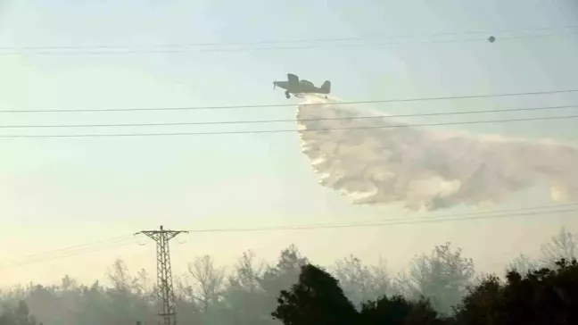 Çanakkale'de Orman Yangını Kontrol Altına Alındı