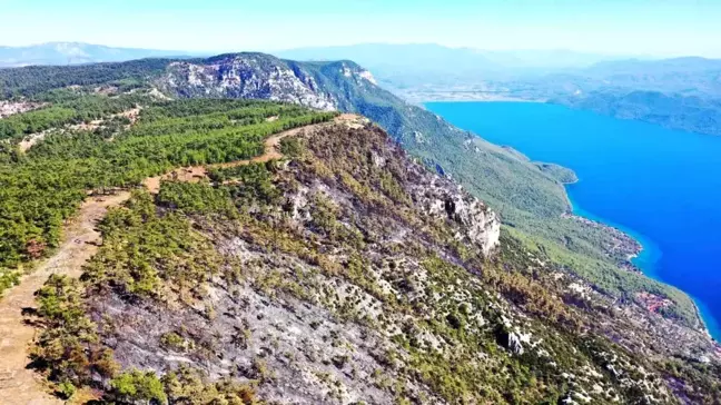 Muğla'da Çıkan Orman Yangını Kontrol Altına Alındı