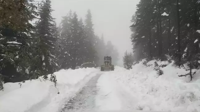 Kastamonu'da Kar Mücadelesi Erken Başladı